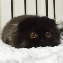 いと