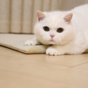 つむぎ