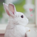 あさ