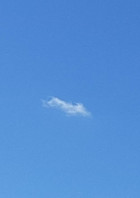 有能は有能、無能は無能