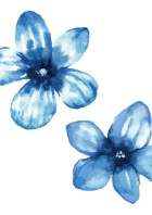 Flowers~シークレット小説~