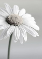 小瀧望 の小説 夢小説検索結果 957件 無料スマホ夢小説ならプリ小説 Bygmo