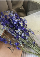 嵐さん 短編集 全5話 連載中 り なさんの夢小説 無料スマホ夢小説ならプリ小説 Bygmo