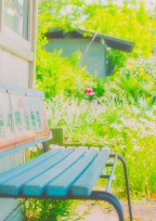 隣の家には愛がある