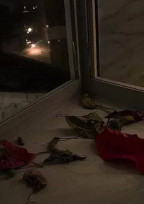 私の親は毒親なんです 🦂