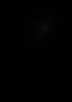 蛇