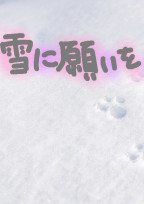 雪に願いを__