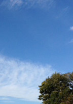 私立バカレア高校〜最強ヤンキー高校の紅一点~