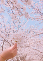 きみと、春が降るこの場所で…