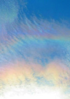 虹🌈💓