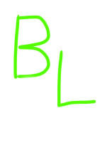 BLに挑戦( ^∀^)