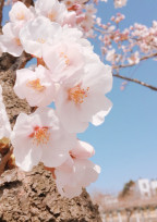 転校生と恋!?
