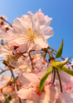 今日で卒業します