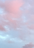 こんなことになるなんて。