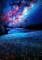 星の降る夜