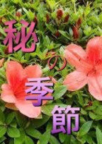 秘の季節