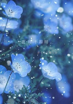 花に不器用。
