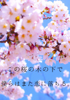 この桜の木の下で僕らはまた恋に落ちる。