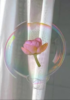 ジャニーズ界のお姫様🌹