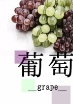 葡萄_grape_