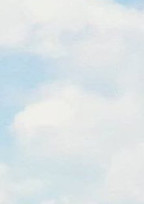 決まってません