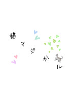 猫マジかル