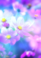 信じてください。