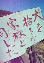 あなたが私のペット!?