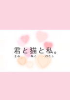 君と猫と私。