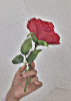 new life