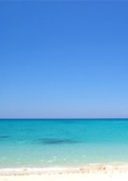 真夏の海、君と。