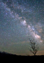 流れ星の贈り物