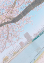 # __ 🌷 ☀️