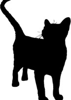 ねぇ、このままいさせて