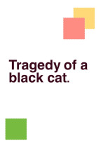 とある黒猫の悲劇