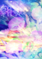 朝貌