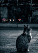猫のラクリマ