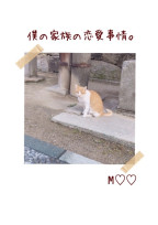 僕の家族の恋愛事情。