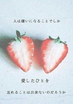 上手くいかない恋物語