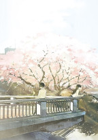 春 夏 秋 冬 .*