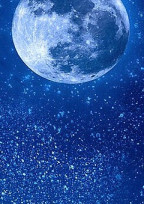 月夜に輝く輝夜姫