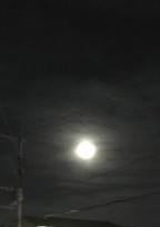 夜の2人
