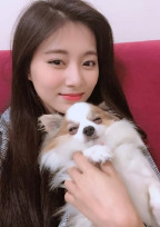 私の家族はTWICEです。