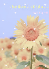 向日葵みたいに笑う君は。 《ハイキュー!!》