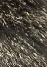 発狂、頭やばい