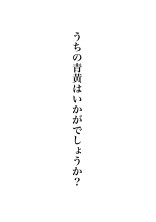 うちの青黄はいかがでしょうか?