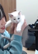 マジでいい事したわwww