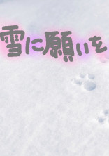 雪に願いを__