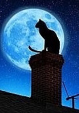 カツ揚げ君と ゙元 ゙猫さん