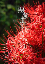 悪魔血筋は恨まれる